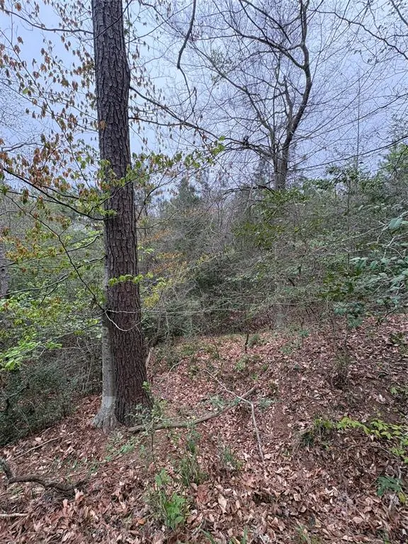 TBD (Tract A) FM 711, Center, TX 75935