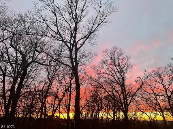 1600 Mountain Top Rd, Bridgewater Twp., NJ 08807