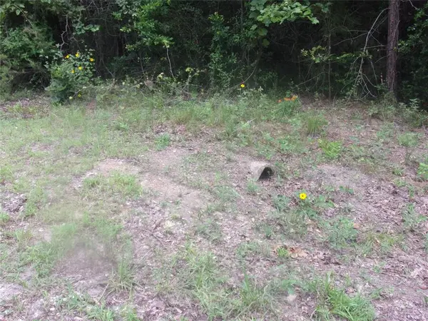 tbd Holly Glen, Murchison, TX 75778