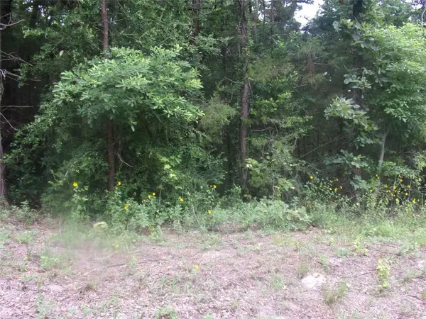 tbd Holly Glen, Murchison, TX 75778