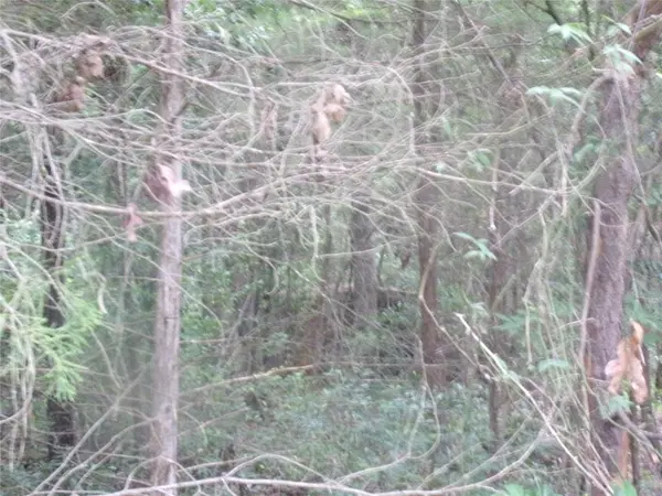 tbd Holly Glen, Murchison, TX 75778