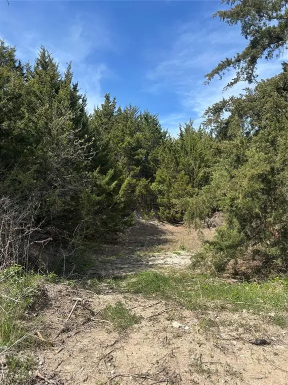 TBD Fm 66, Waxahachie, TX 75167