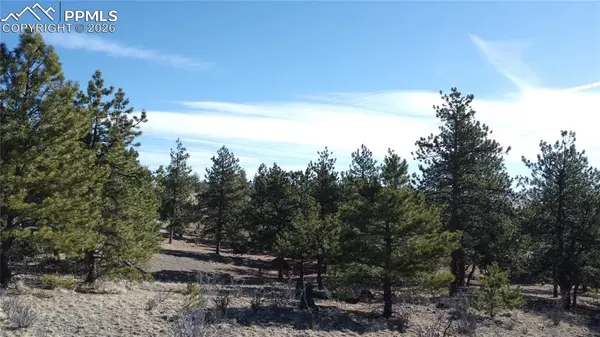 52 Bit WAY, Hartsel, CO 80449