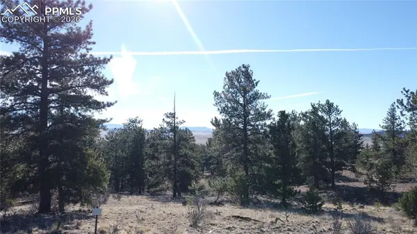 52 Bit WAY, Hartsel, CO 80449