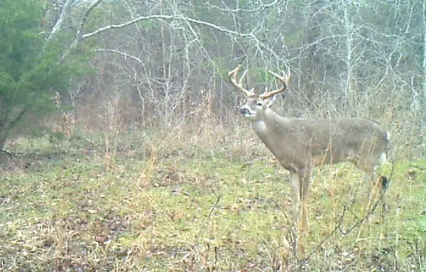 3324-A County Road 3206, Dawson, TX 76639