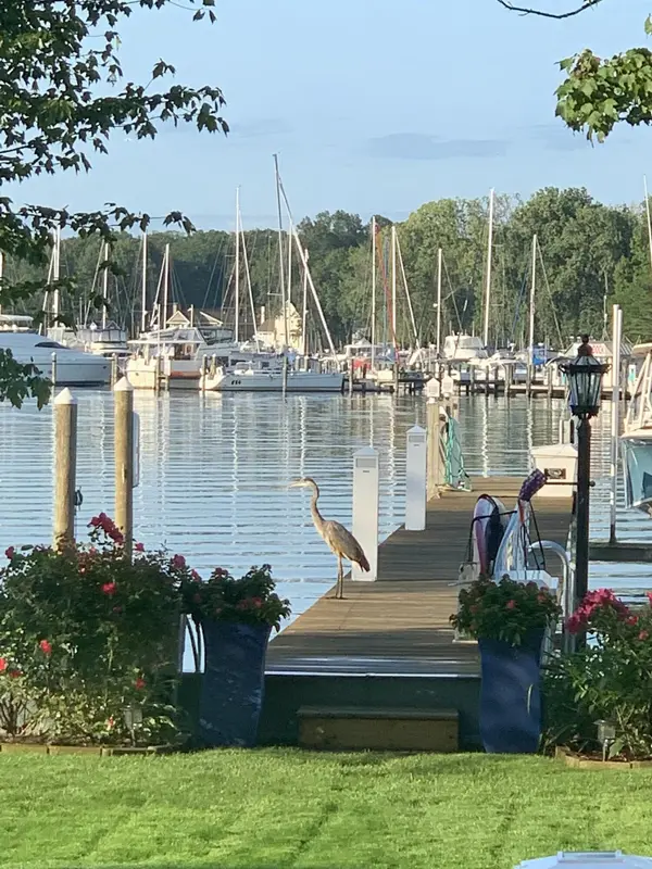 1738 Waukazoo DR, Park Twp, MI 49424