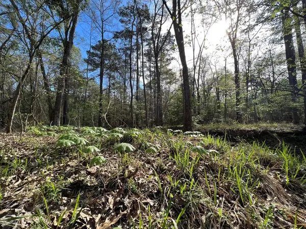 000 County Road 434, Lindale, TX 75771