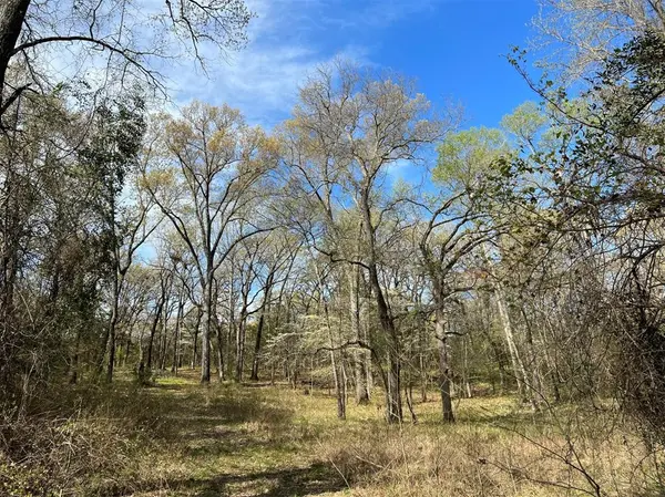 000 County Road 434, Lindale, TX 75771