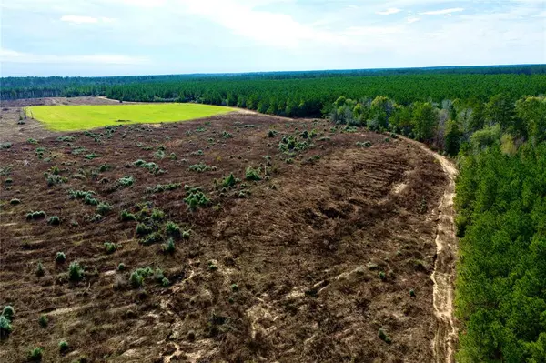 TBD Segno Fire Lane, Livingston, TX 77351