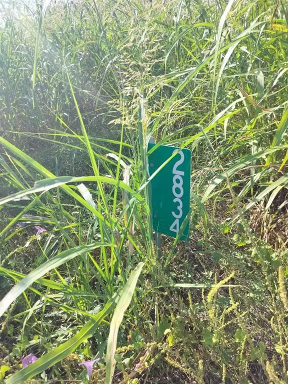 2834 St Hwy 81, Itasca, TX 76055