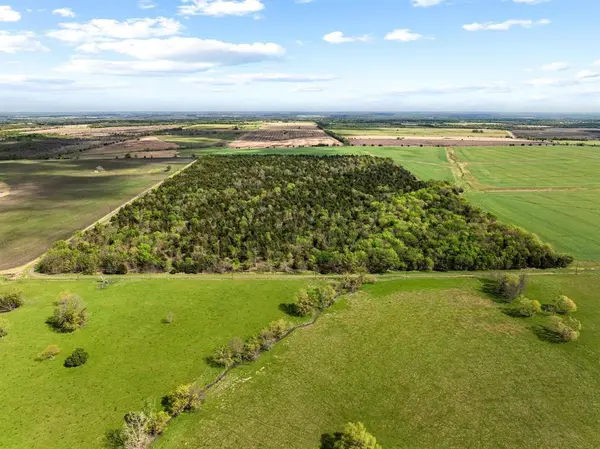 TBD County Road 3230, Ben Franklin, TX 75415