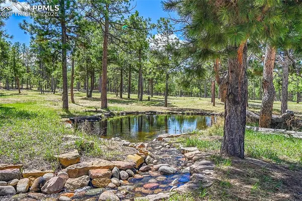 17350 Goshawk RD, Colorado Springs, CO 80908