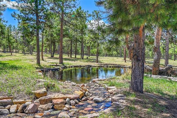 17350 Goshawk RD, Colorado Springs, CO 80908