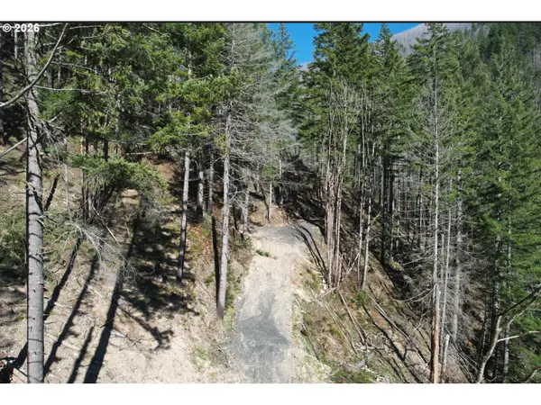 0 Hwy 22, Detroit, OR 97342