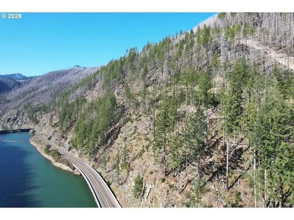 0 Hwy 22, Detroit, OR 97342