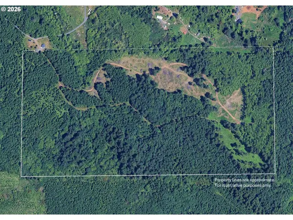 SE Phelps Mountain LN #TL1200, Silverton, OR 97381