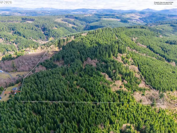 SE Phelps Mountain LN #TL1200, Silverton, OR 97381