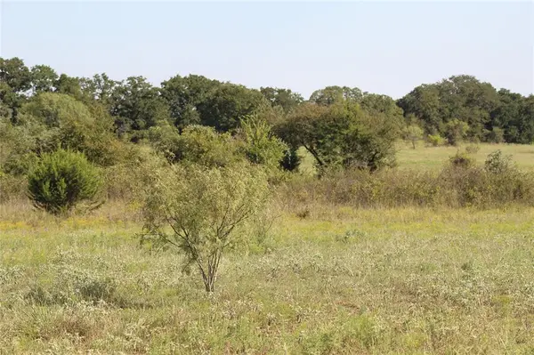 1179 CR 1470, Chico, TX 76431