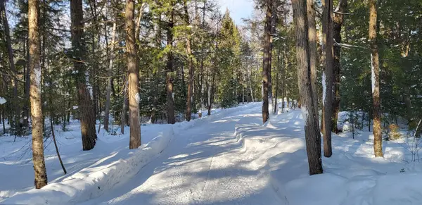 97 Maple RD,  Chisholm,  ON P0H 1Z0