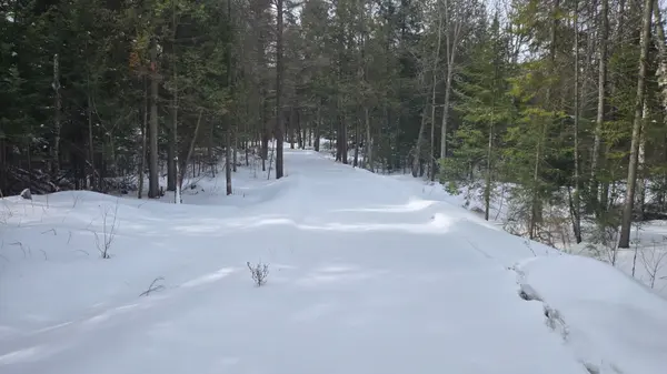 97 Maple RD, Chisholm, ON P0H 1Z0