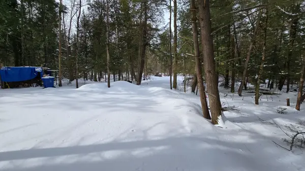 97 Maple RD, Chisholm, ON P0H 1Z0