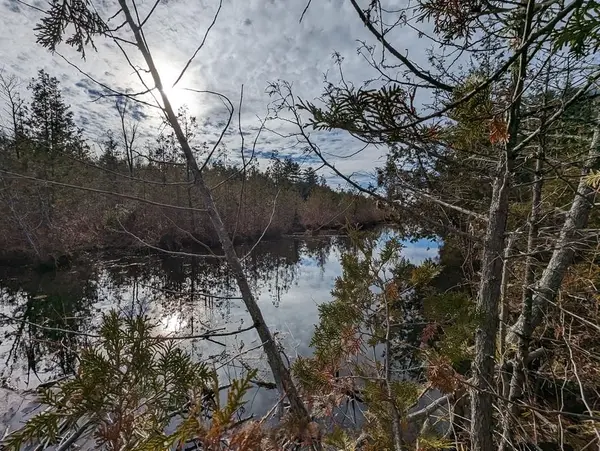 Lt 19-20 Fire Route 67 N/A, Havelock-belmont-methuen, ON K0L 1Z0