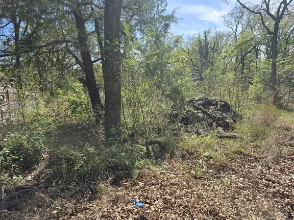 Lot 742 Oak Haven Drive, Gun Barrel City, TX 75156