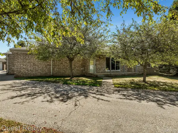 14710 Palmetto Court CT, Shelby Charter Township, MI 48315