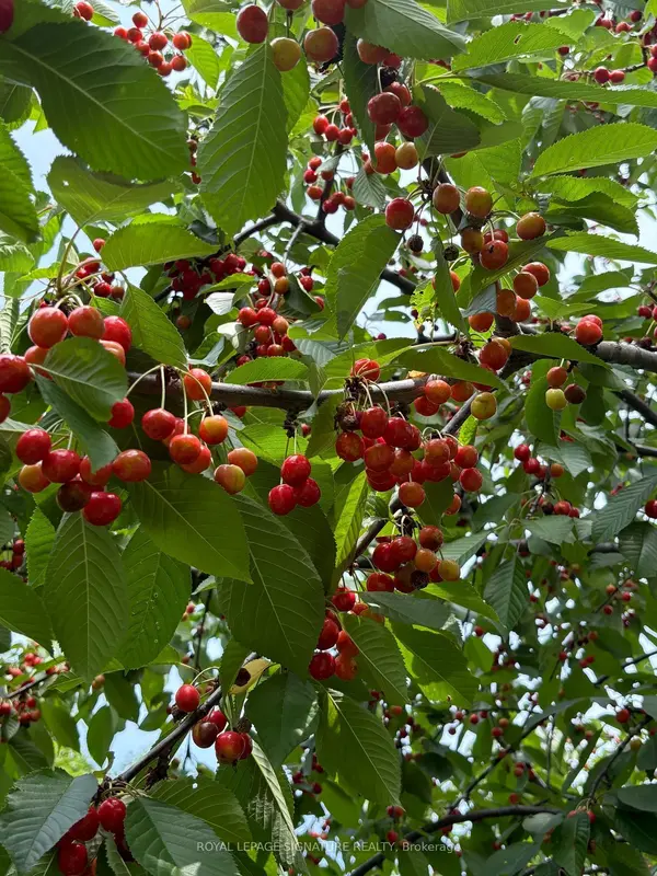 4097 Hickory DR, Mississauga, ON L4W 1L1