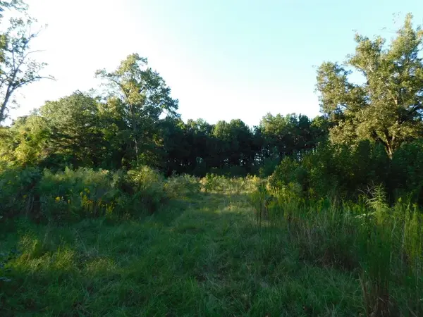 2600 Columbia 21 Road, Taylor, AR 71861
