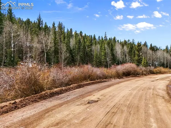 464 E Bison Creek TRL, Florissant, CO 80816