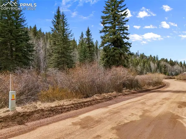 464 E Bison Creek TRL, Florissant, CO 80816