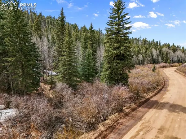 464 E Bison Creek TRL, Florissant, CO 80816