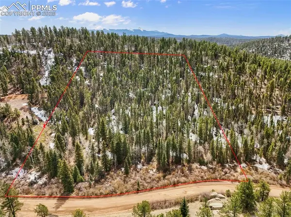 464 E Bison Creek TRL, Florissant, CO 80816