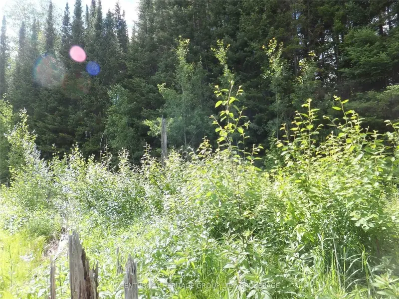 2098 Glamor Lake RD, Highlands East, ON K0M 1R0