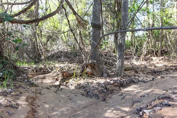 TBD Ridgeline Loop #Lot #93, Winona, TX 75792