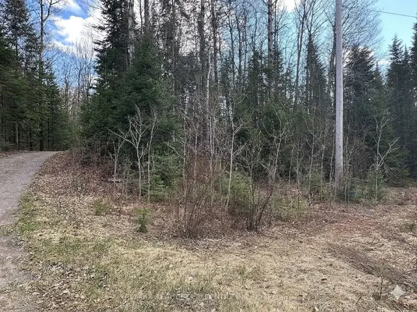 12 CON 22 CARDIFF Concession, Highlands East, ON K0L 3C0