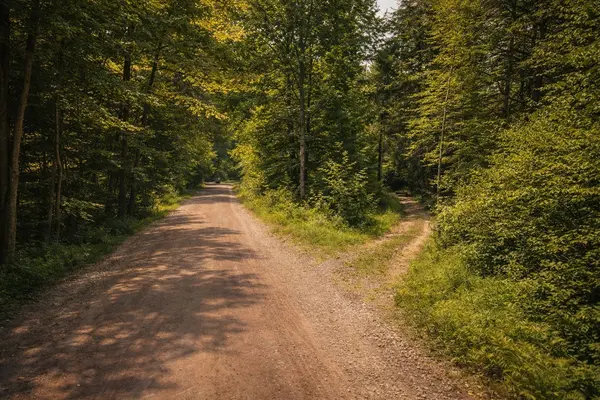 12 CON 22 CARDIFF Concession, Highlands East, ON K0L 3C0