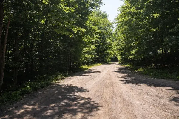 12 CON 22 CARDIFF Concession, Highlands East, ON K0L 3C0