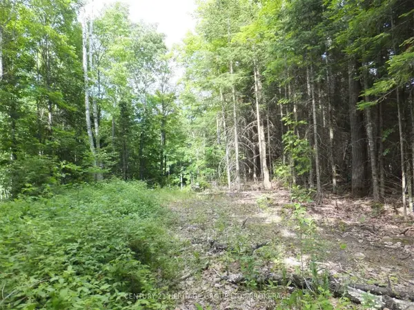 2098 Glamor Lake RD, Highlands East, ON K0M 1R0