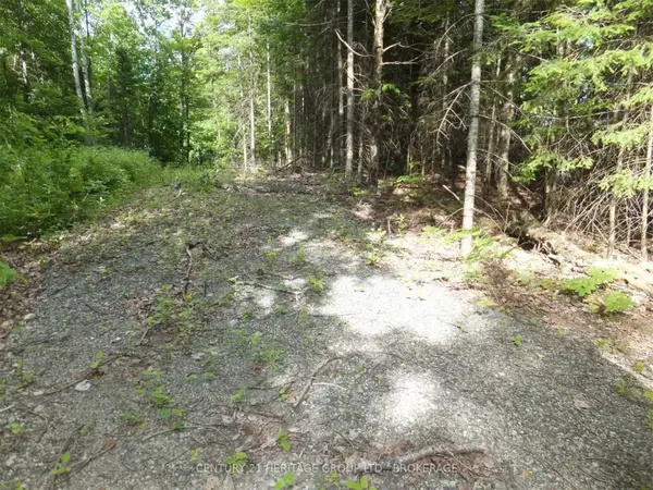 2098 Glamor Lake RD, Highlands East, ON K0M 1R0