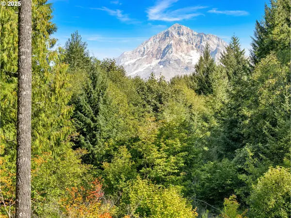 20497 E LOLO PASS RD, Rhododendron, OR 97049