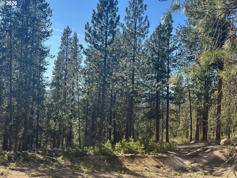 HWY 58 #201, Crescent Lake, OR 97733