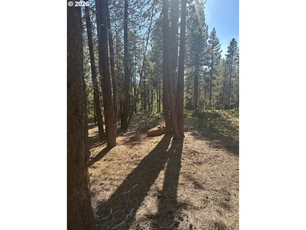 201 HWY 58, Crescent Lake, OR 97733