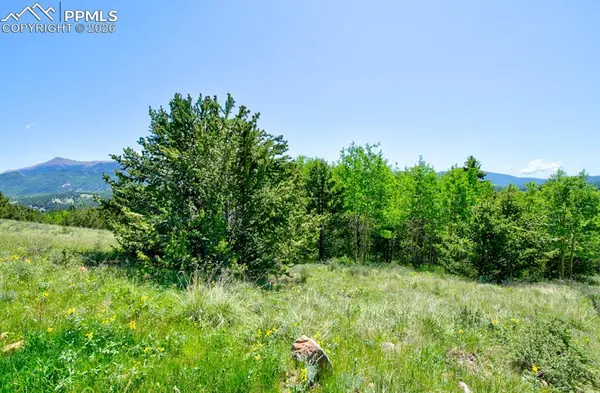 Unknown, Cripple Creek, CO 80813