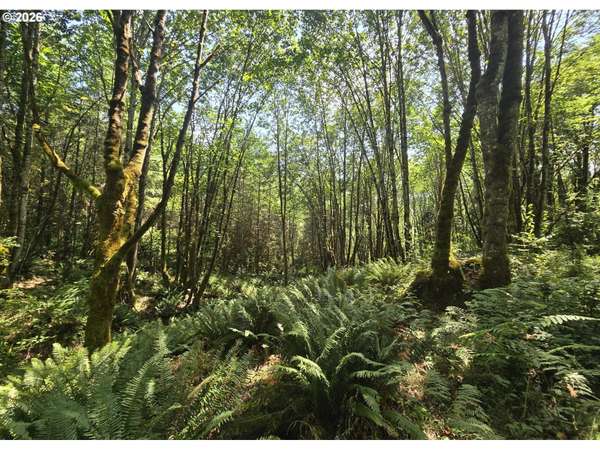 Tide Creek RD, Rainier, OR 97048