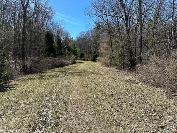 11.01 Acres Vacant Land KNIGHTS BRIDGE RD, Addison Twp, MI 48367
