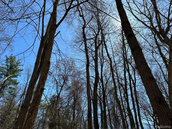 11.01 Acres Vacant Land KNIGHTS BRIDGE RD, Addison Twp, MI 48367