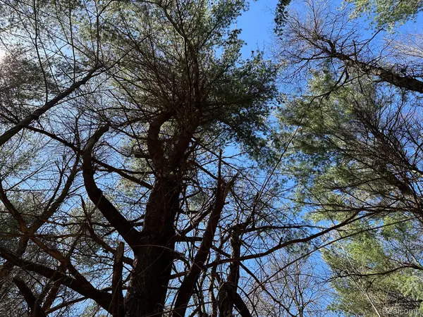 4.23 Acres VL - KNIGHTS BRIDGE RD, Addison Township, MI 48367