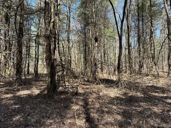 2.02 Acres VL - KNIGHTS BRIDGE RD, Addison Township, MI 48367